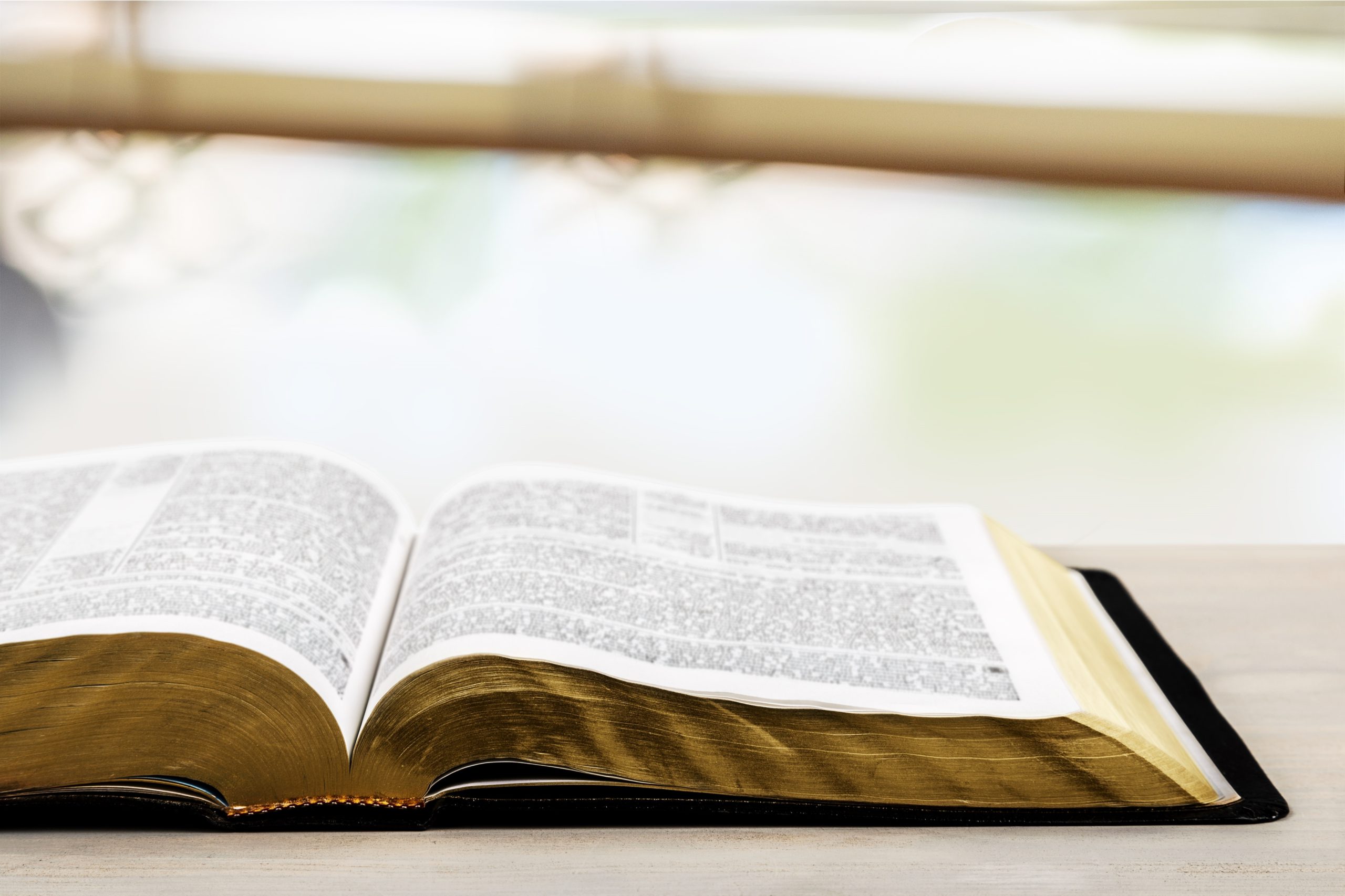 biblia-abierta Banner de la sección de quienes somos de la Facultad de Teología Online SEUT