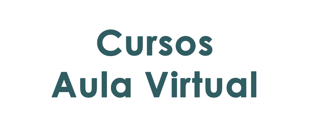 aula-virtual Imagen de inicio del aula virtual